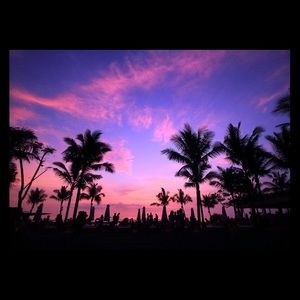 Meet your Posher, Ella